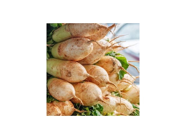 황토무우 쇼핑 꿀팁 가이드