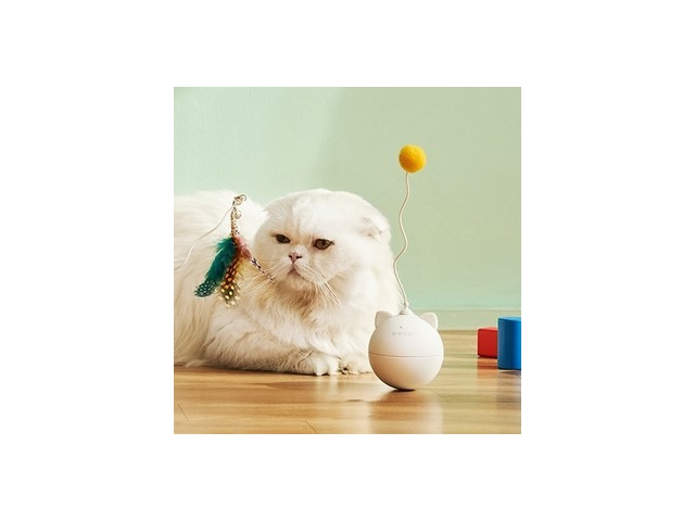 냥냥토이볼 추천 가격 및 비교 정리