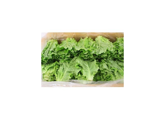 청상추박스 쇼핑 꿀팁 가이드